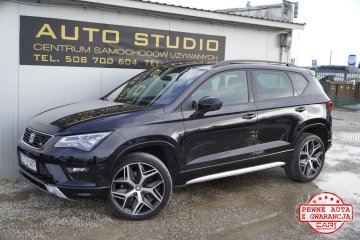 Model2019/Wirtual/Navi+Kamera-360/Ambient/Asystenty/Alcantara/Panorama