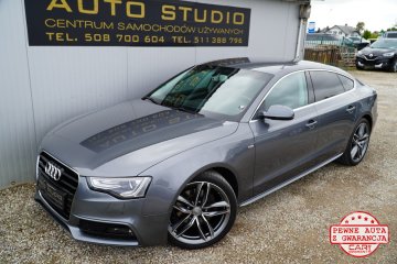 S-Line/Xenon+LED/Asystenty/Kubełki+Grzane-Fotele/Klimatronic/Ładny!
